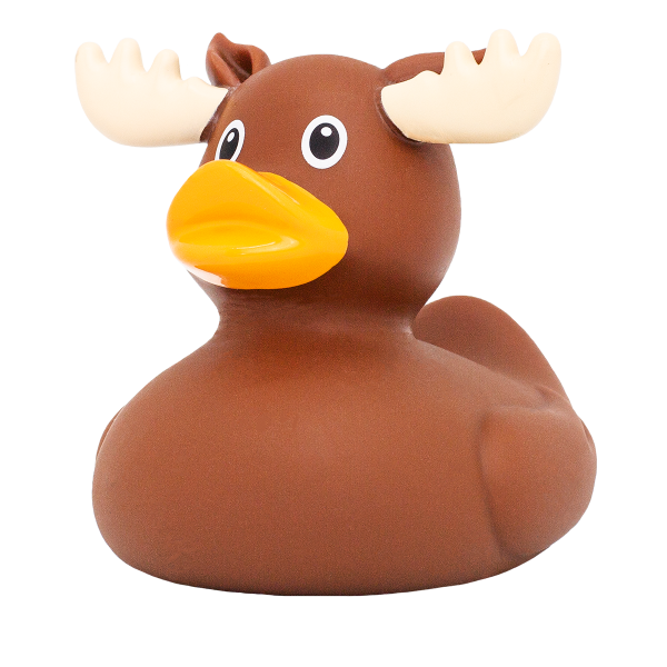 Moose Duck