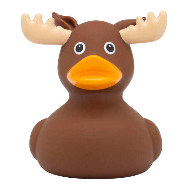 Moose Duck