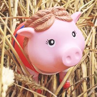 LILALU BIGGYS piggy bank Bavarian Female in straw