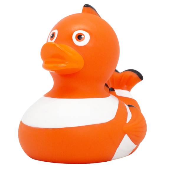 Clown Fish Ente