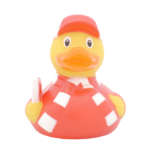 Fan duck