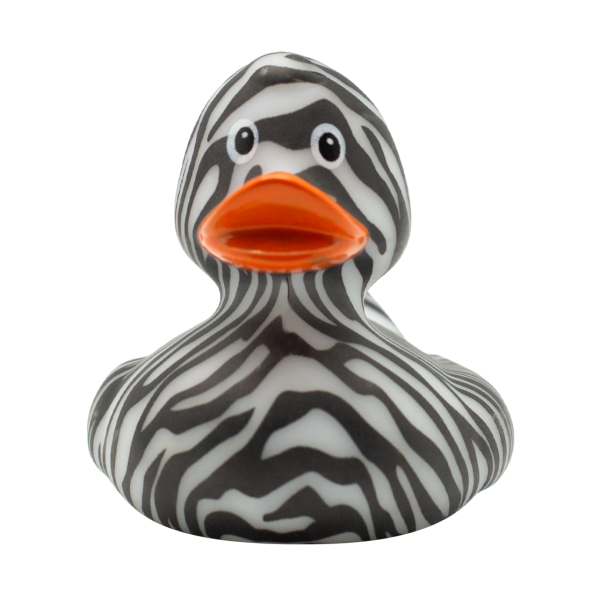 "like a zebra" Duck