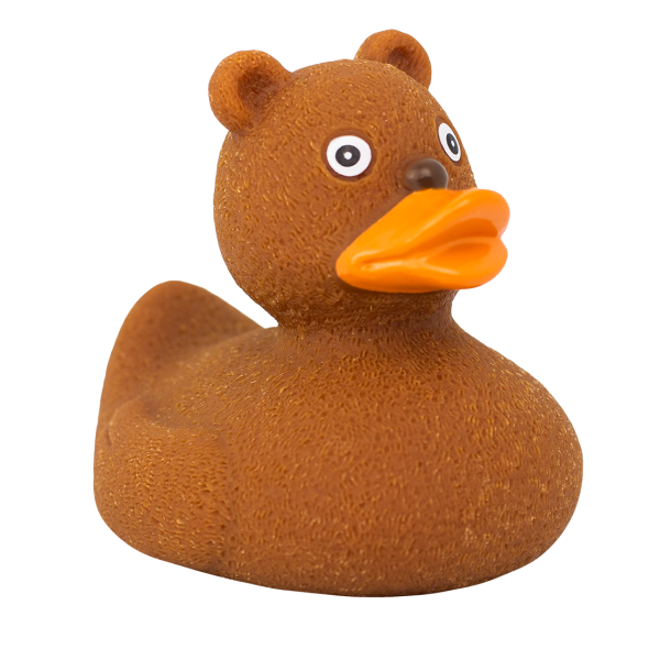 Teddy Duck