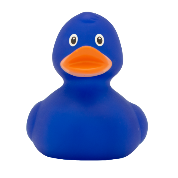 Blue Rubber Duck 