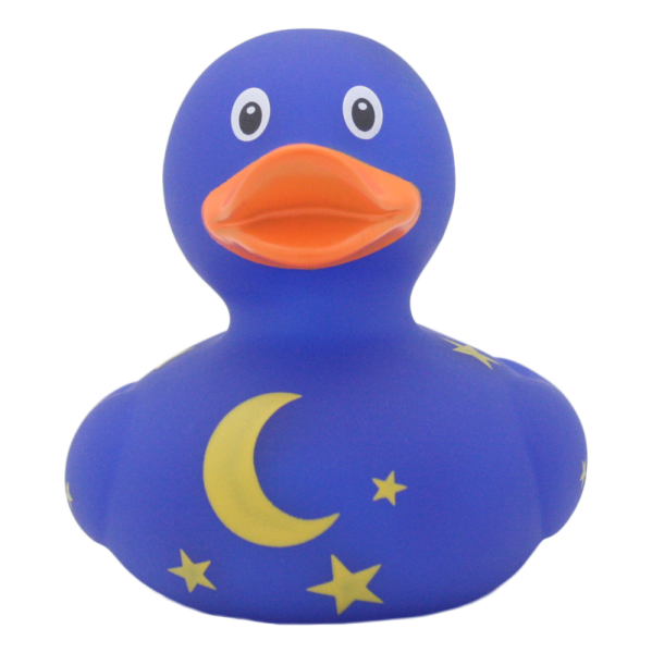 Duck with moon and stars