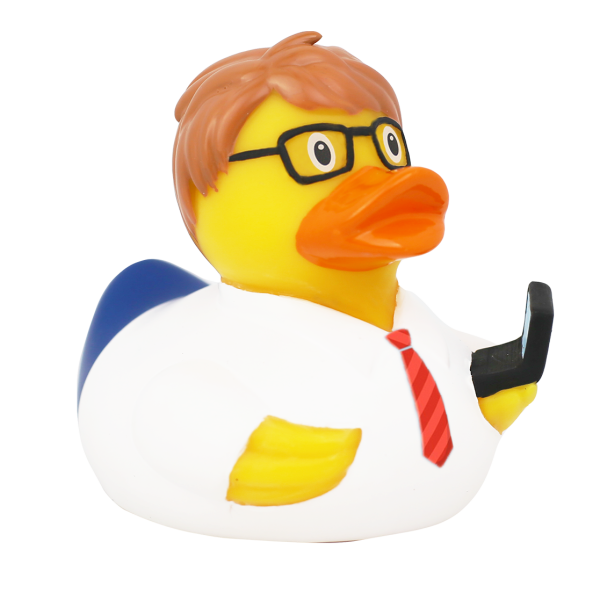 IT developer Duck