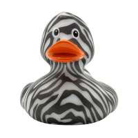 "like a zebra" Duck