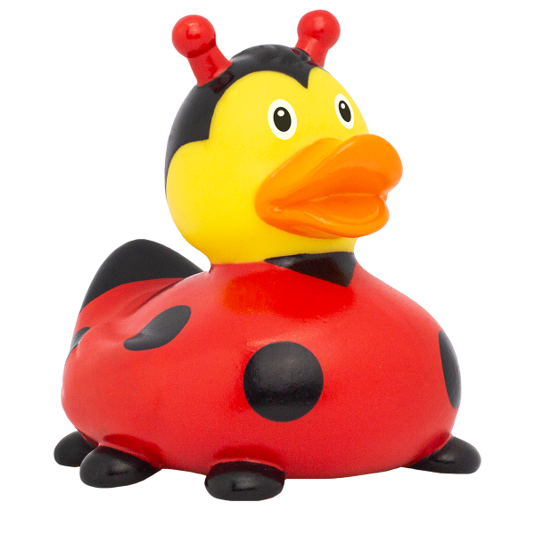 Marienkäfer Ente *neu